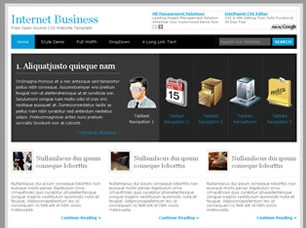 Internet Business Html模版