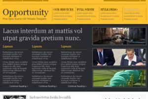 Opportunity Html模版