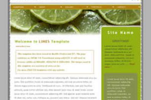 Limes Html模版