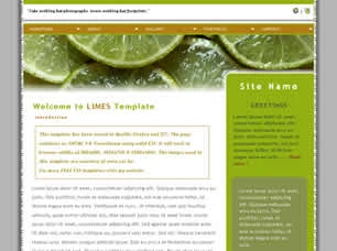 Limes Html模版