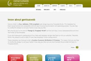 Genious Web Html模版
