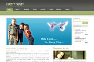 Charity Trust Html模版