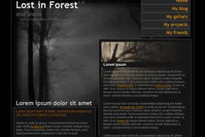 Lost in Forest 1.0 Html模版