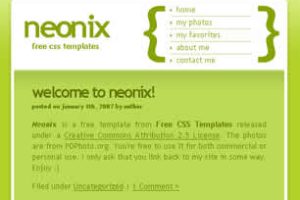 Neonix Html模版