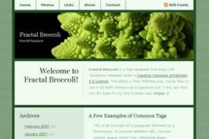 Fractal Broccoli Html模版