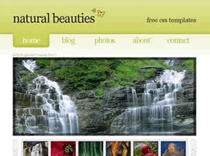 Natural Beauties Html模版