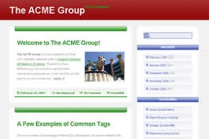 The ACME Group Html模版