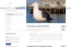 Bird Watch Html模版