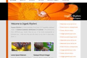 Organic Rhythm Html模版