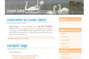 Swan Lake Html模版