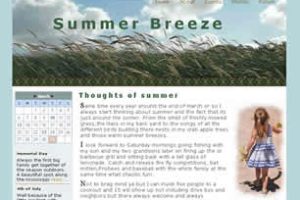 Summer Breeze Html模版