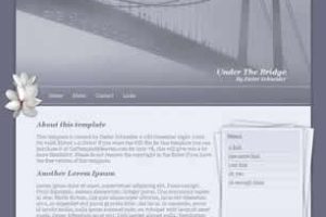 Under The Bridge Html模版