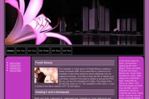 Purple Beauty Html模版
