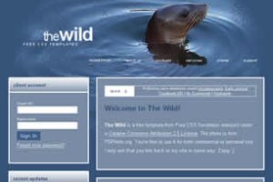 The Wild Html模版