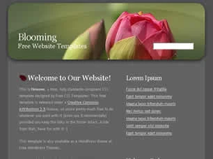 Blooming Html模版