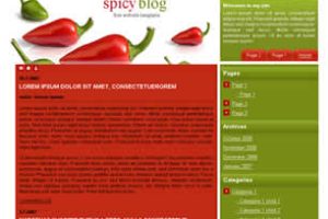 Spicy Blog Html模版