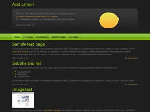 Acid Lemon Html模版
