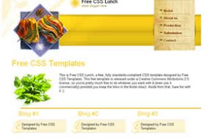 Free CSS Lunch Html模版