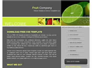 Fruit Company Html模版