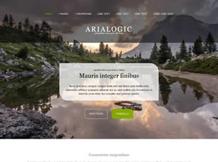 Arialogic Html模版