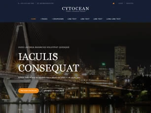 Cytocean Html模版