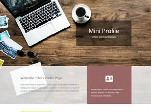 Mini Profile Html模版