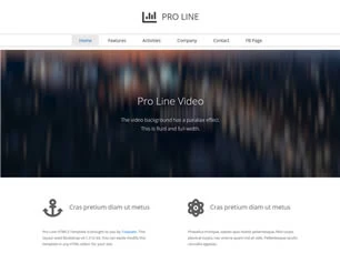 Pro Line Html模版